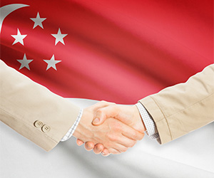 Get to Know How You Can Incorporate a Private Limited Company in Singapore