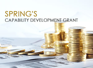 Capability Development Grant