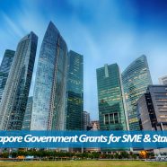 Top 7 Government Grants for Singapore Companies