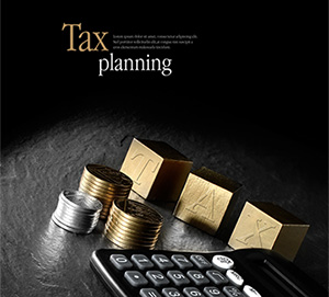 Taxation Planning For the Business