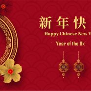 Year of the Ox- Chinese New Year 2021