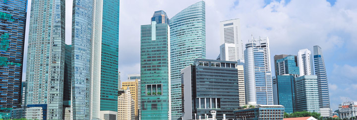 Singapore companies annual reports
